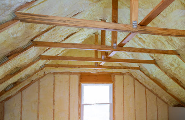 Best Residential Insulation in Stony Point, MI