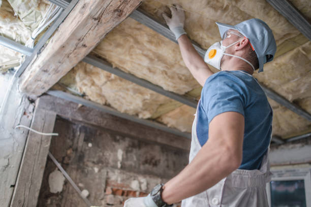 Best Insulation for Specific Applications in Stony Point, MI