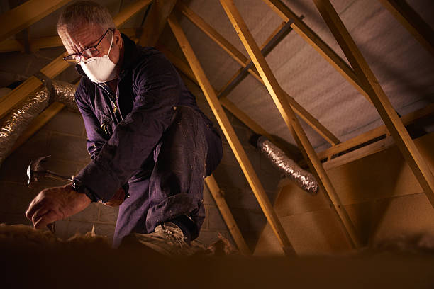 Best Residential Insulation in Stony Point, MI